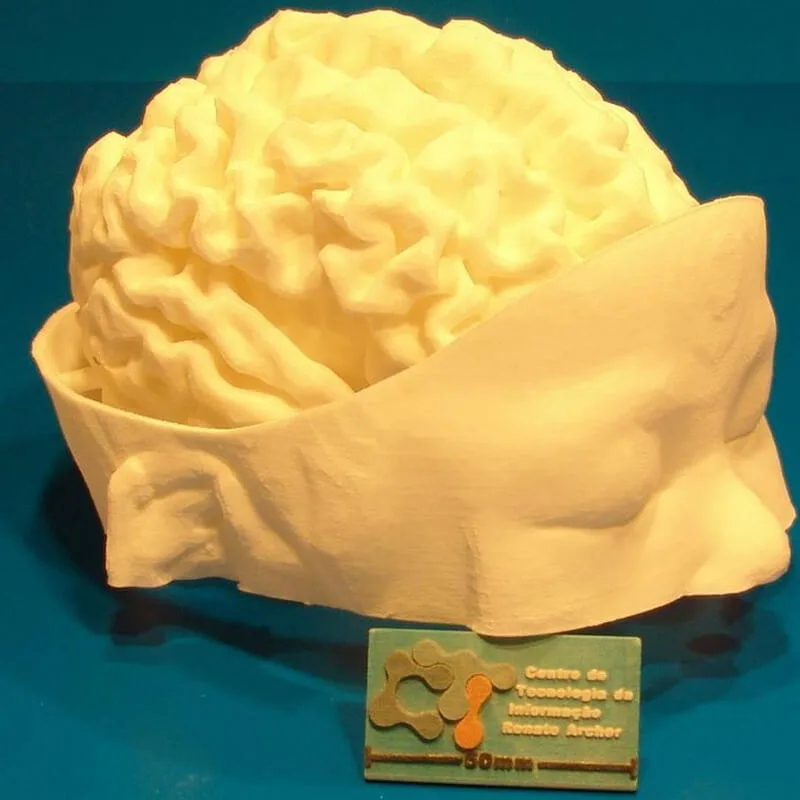 mundo-real-al-3d-regalo-unico_3d-printed-model-infants-brain