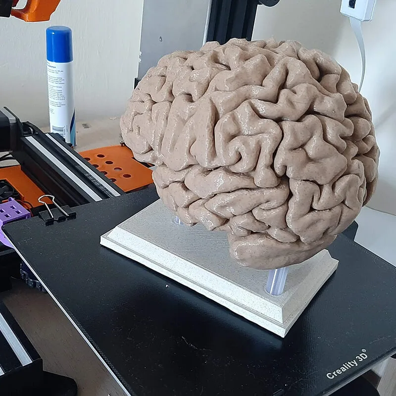 mundo-real-al-3d-regalo-unico_cerebro-prusa