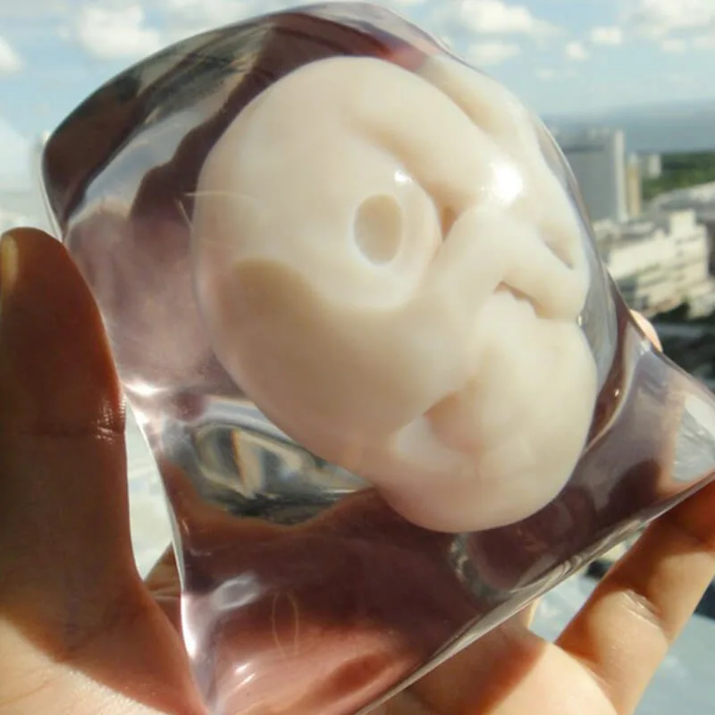 mundo-real-al-3d-regalo-unico_feto-encapsulado